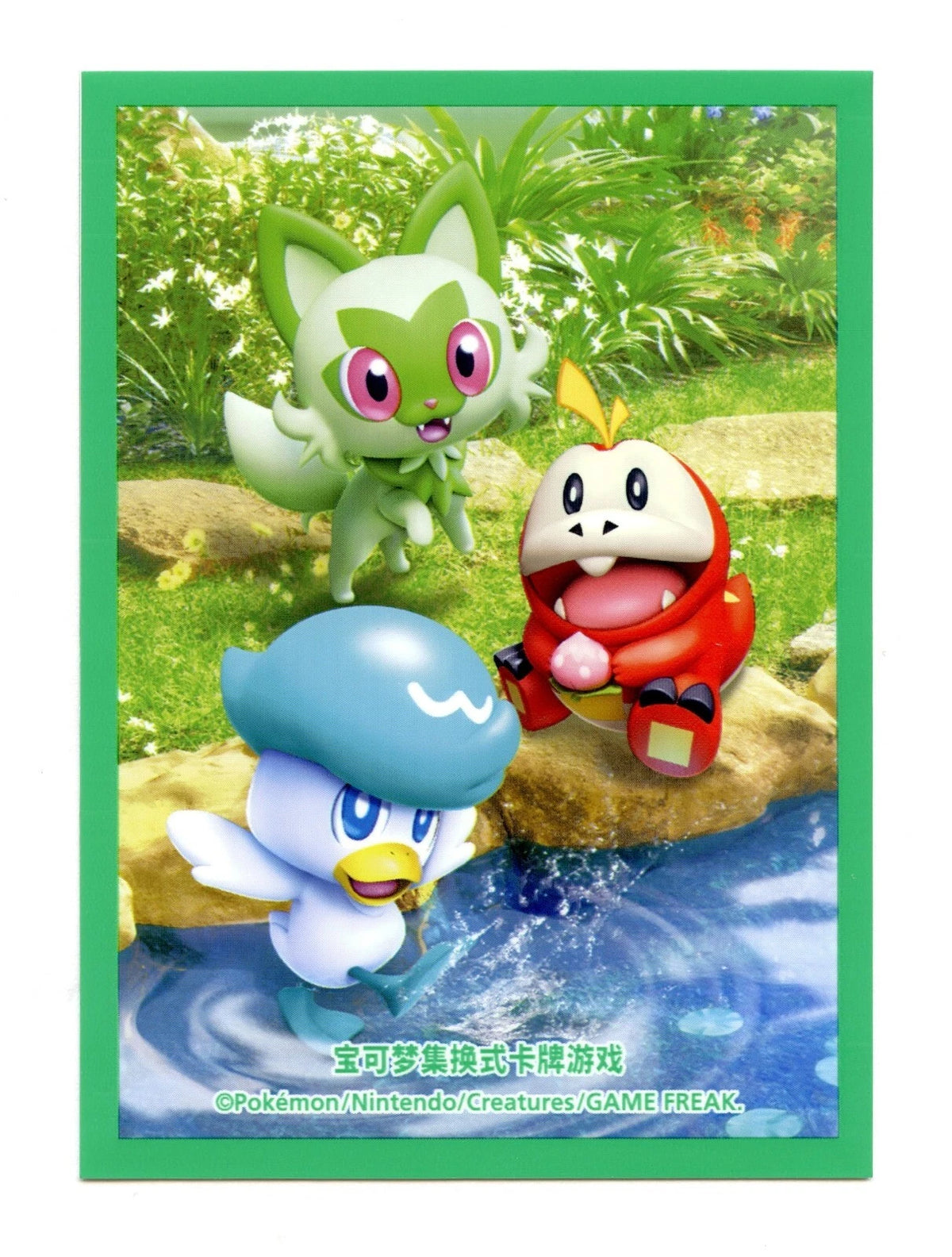 Pokemon Center China: Paldean Starter Sleeves